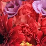 Aquarelle – Photo by Jean Marc Lebeaupin (13)
