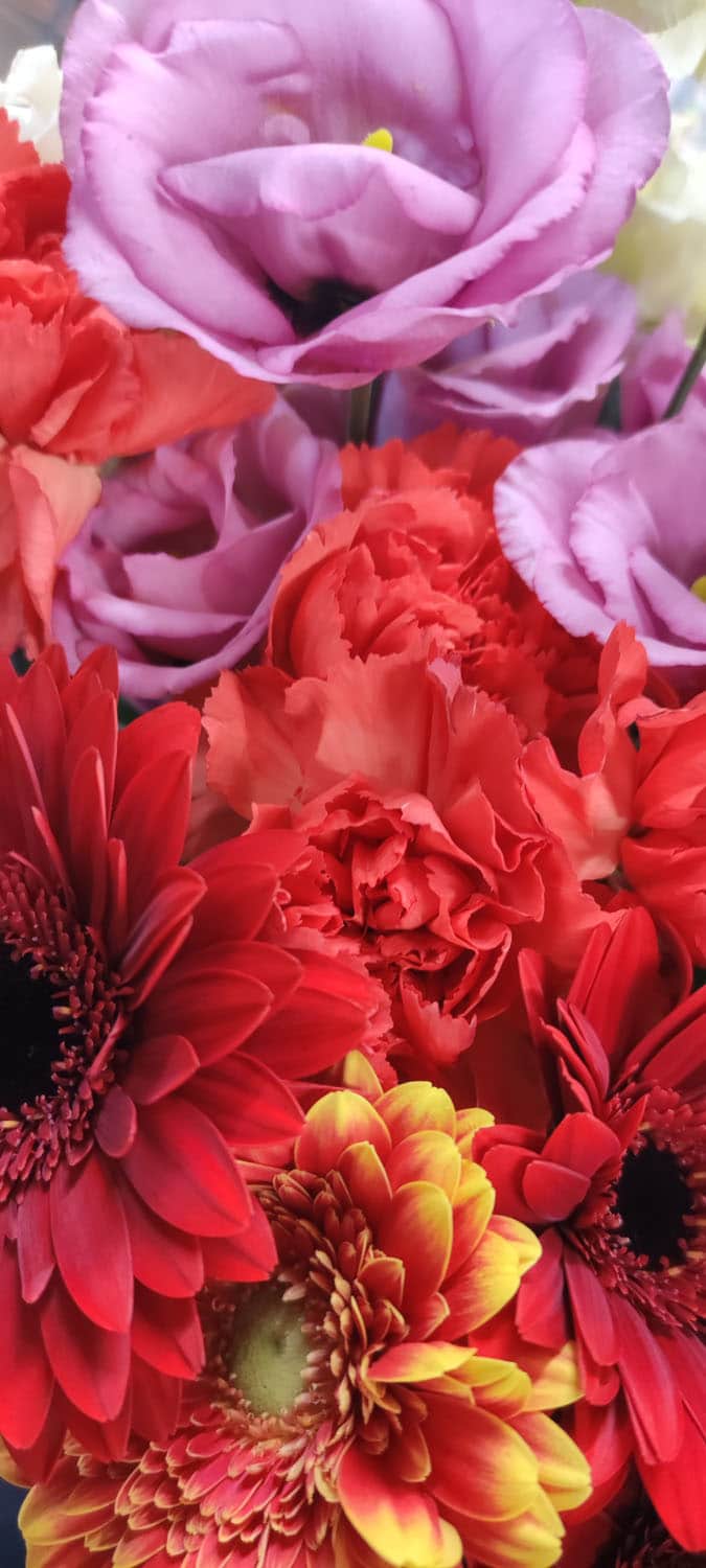 Aquarelle : Des fleurs à la maison !