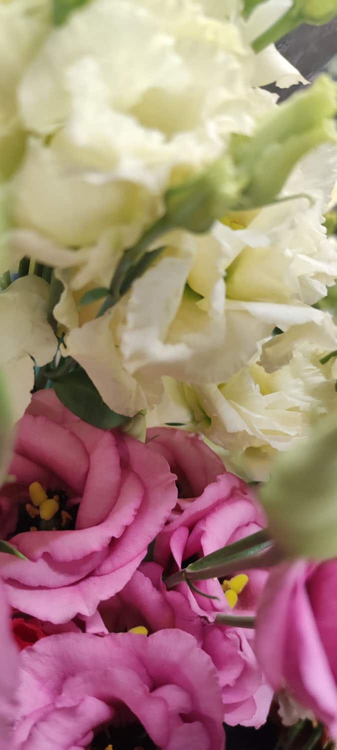 Aquarelle : Des fleurs à la maison !