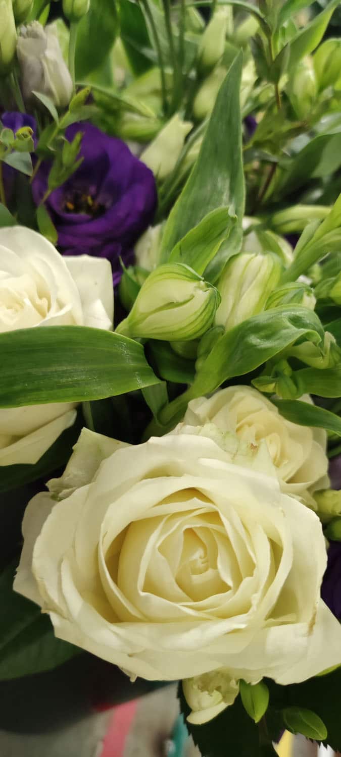 Aquarelle : Des fleurs à la maison !