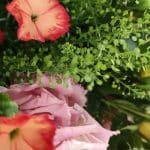 Aquarelle – Photo by Jean Marc Lebeaupin (19)