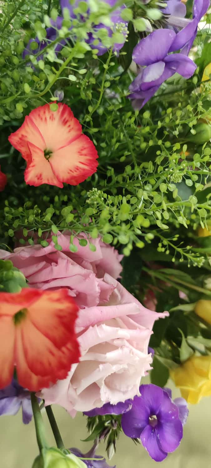 Aquarelle : Des fleurs à la maison !