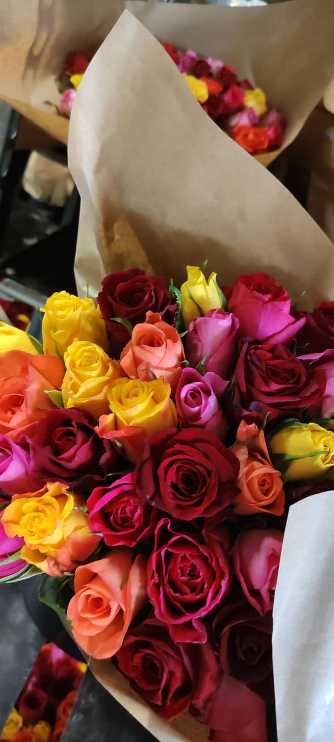 Aquarelle : Des fleurs à la maison !