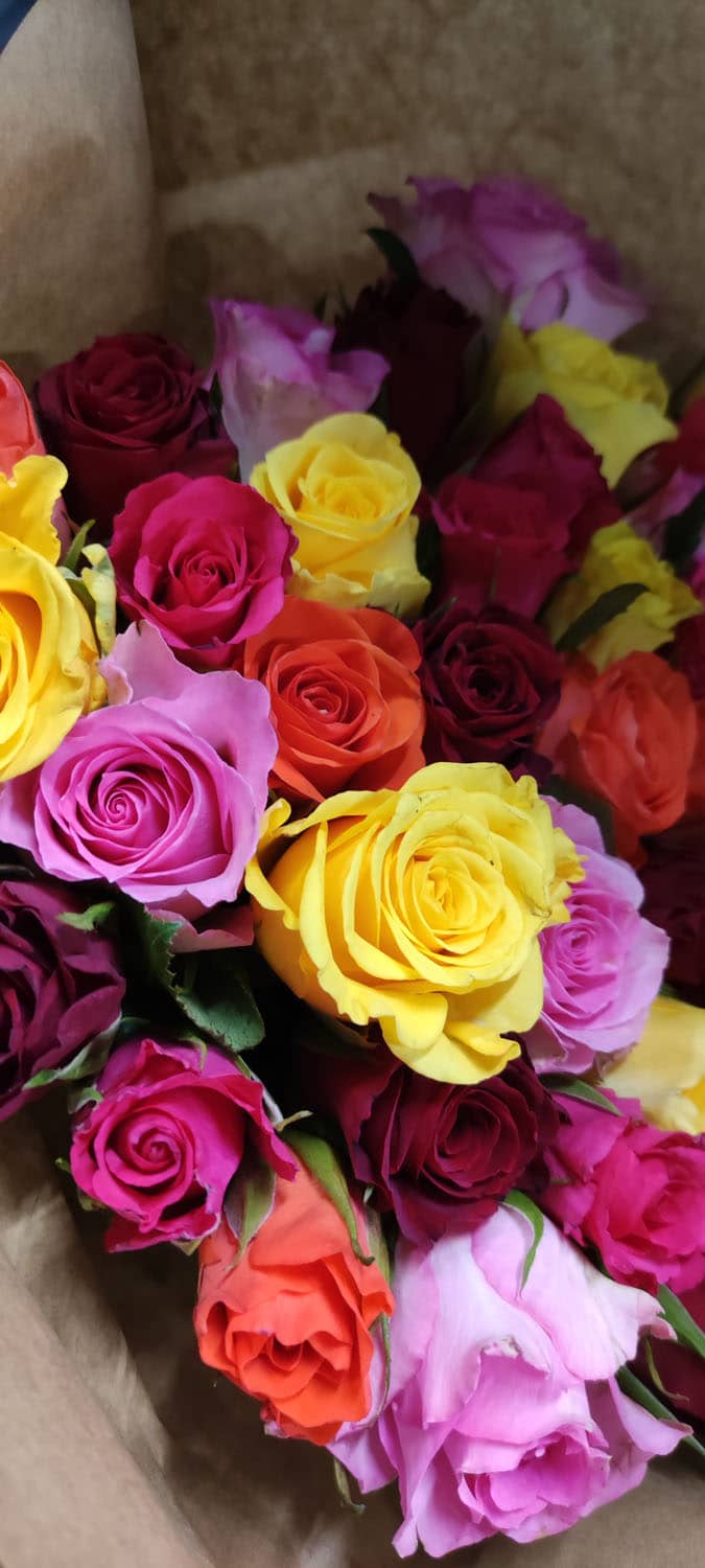 Aquarelle : Des fleurs à la maison !