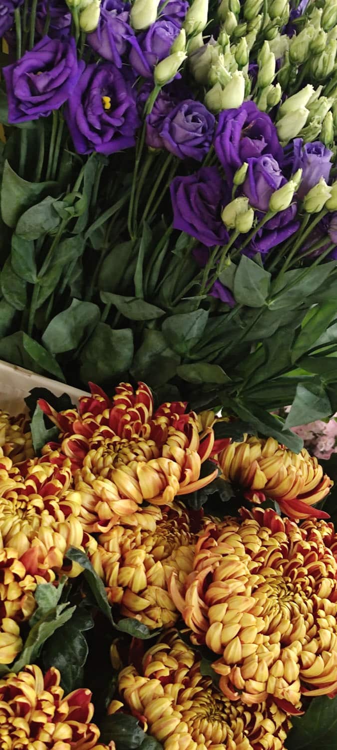 Aquarelle : Des fleurs à la maison !