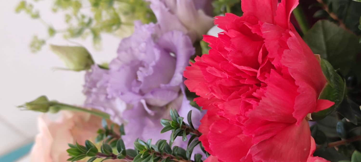 Aquarelle : Des fleurs à la maison !