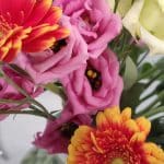 Aquarelle – Photo by Jean Marc Lebeaupin (4)