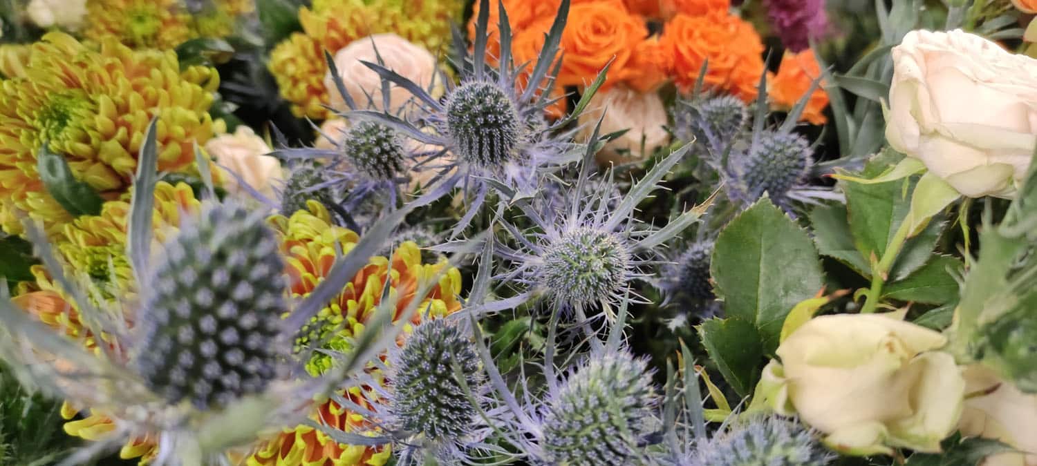 Aquarelle : Des fleurs à la maison !