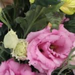 Aquarelle – Photo by Jean Marc Lebeaupin (5)