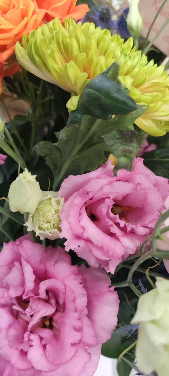 Aquarelle : Des fleurs à la maison !