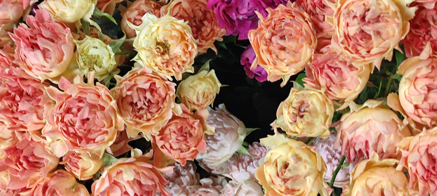 Aquarelle : Des fleurs à la maison !