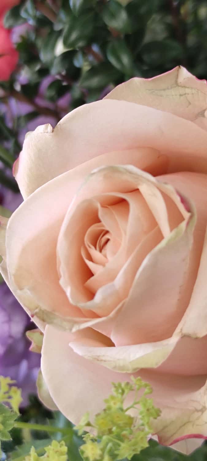 Aquarelle : Des fleurs à la maison !