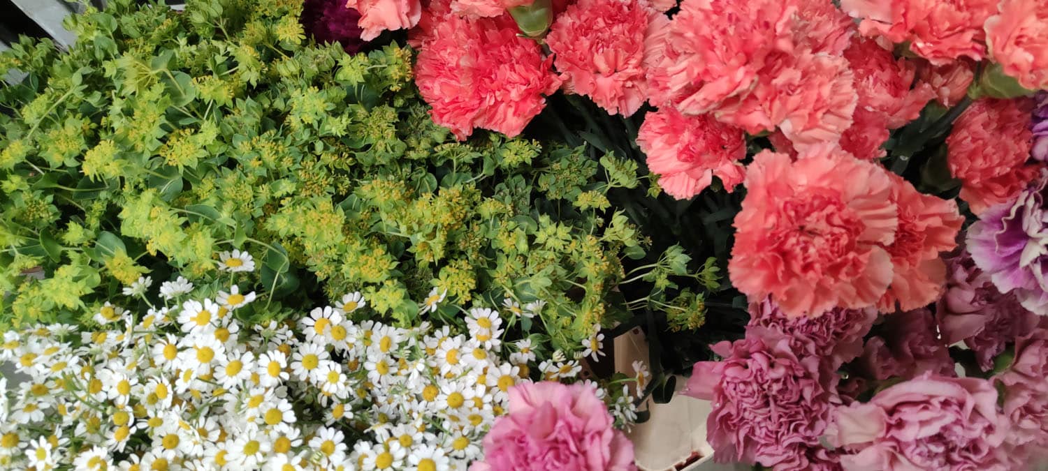 Aquarelle : Des fleurs à la maison !