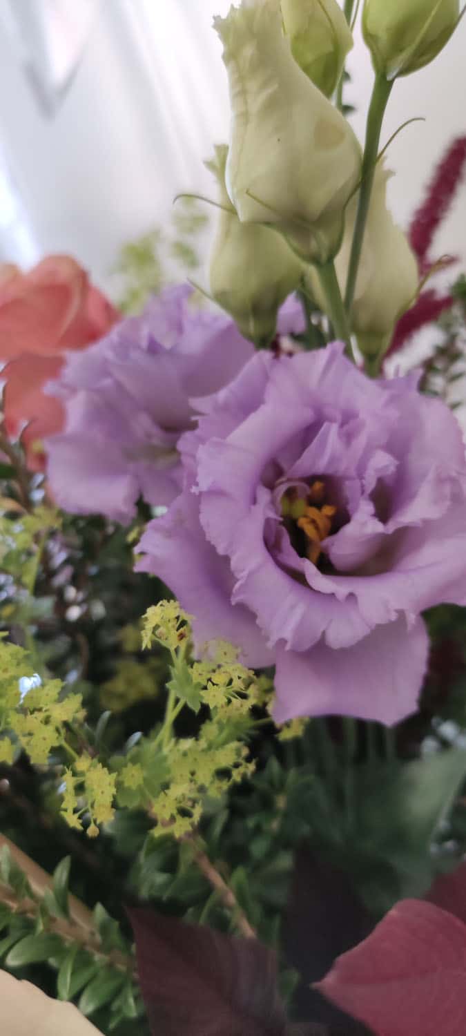 Aquarelle : Des fleurs à la maison !