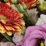 Aquarelle – Photo by Jean Marc Lebeaupin 8