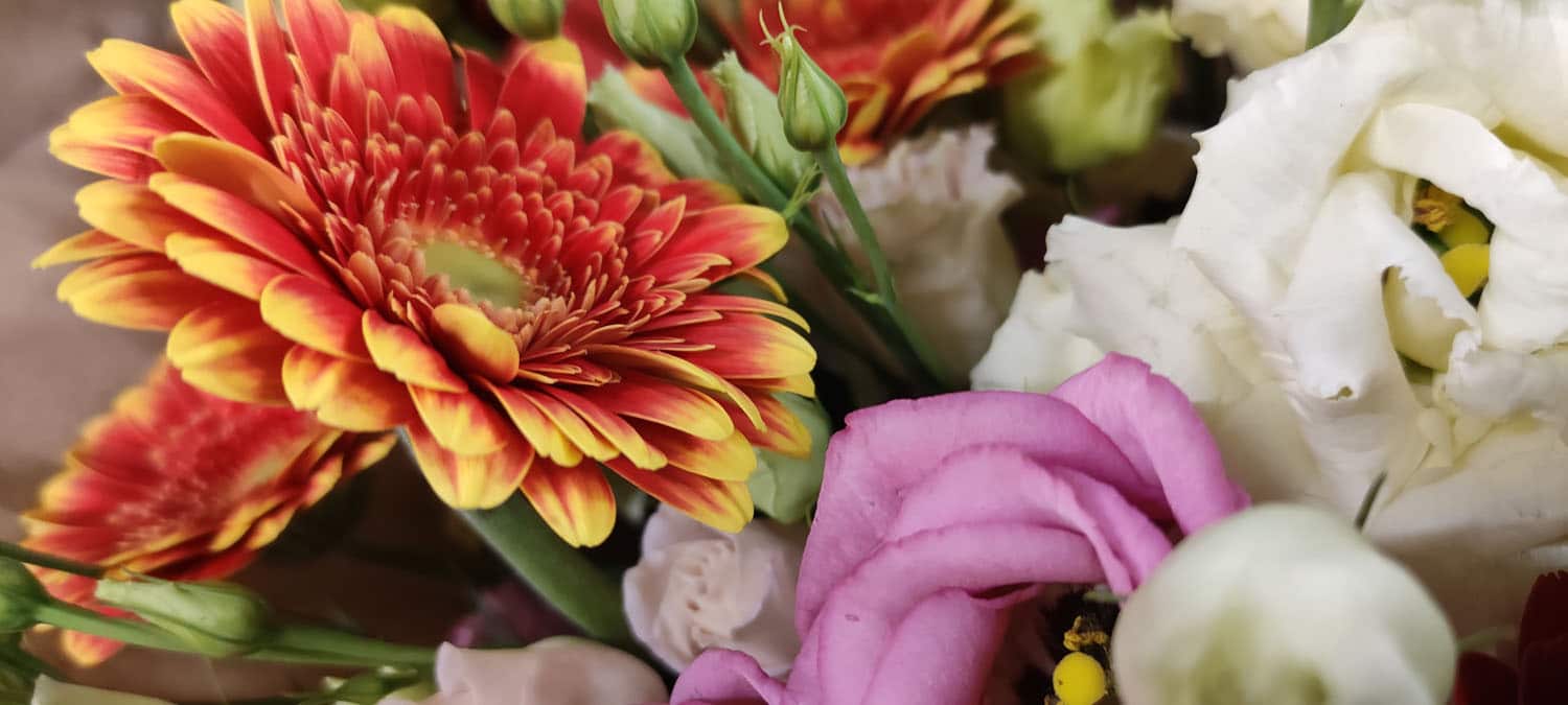 Aquarelle : Des fleurs à la maison !