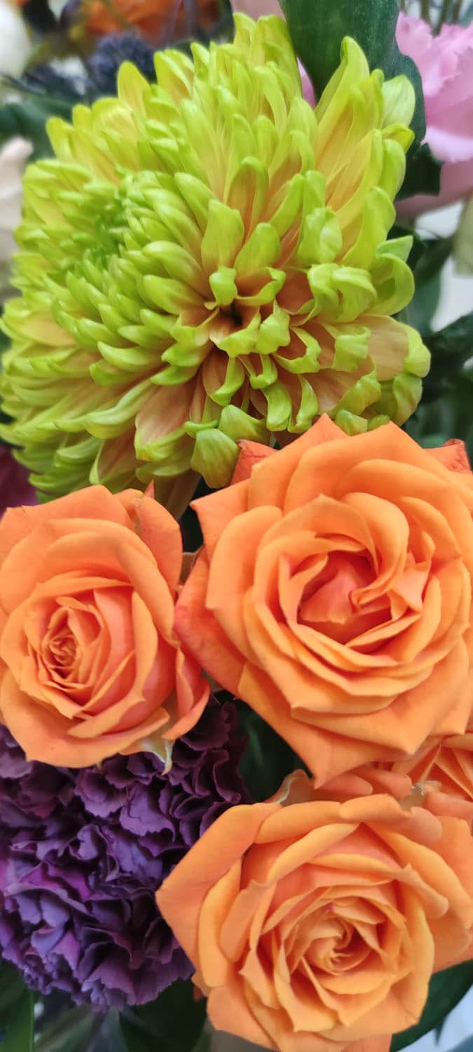 Aquarelle : Des fleurs à la maison !