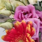 Aquarelle – Photo by Jean Marc Lebeaupin (9)