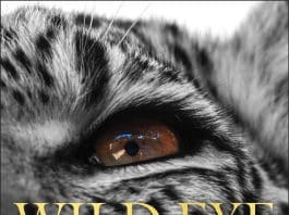 Wild Eye: A Life in Photographs’ by Beverly Joubert