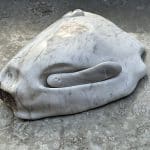 Ludovica Corti_Specimen-3043