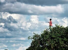 Le Printemps des Poètes - Photo : Africa – Malawi. Daily Life © Aris Messínis / AFP