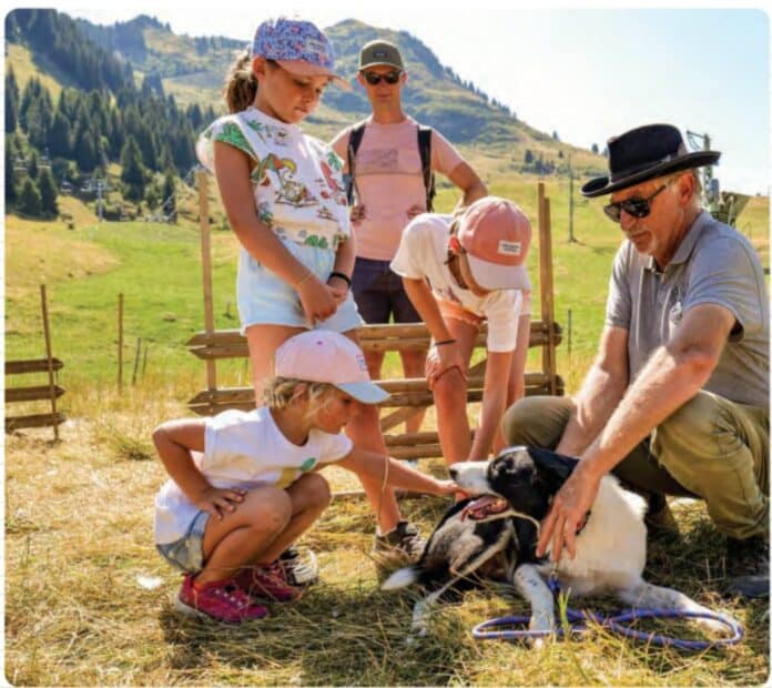 Cet été à Morzine