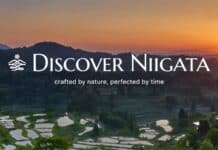 Découvrez Niigata : Quand l’art rencontre la neige ! Découvrez Niigata