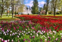 Château de Cheverny