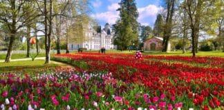 Château de Cheverny