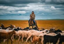 Roberto Garçon : Le Passage du temps