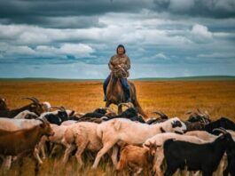 Roberto Garçon : Le Passage du temps