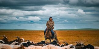 Roberto Garçon : Le Passage du temps