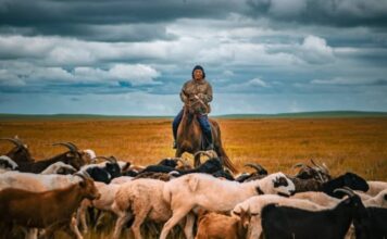 Roberto Garçon : Le Passage du temps
