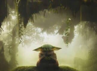 STAR WARS The Mandalorian and Grogu