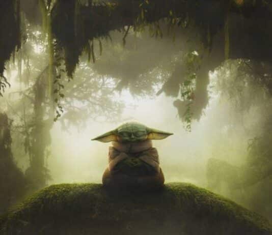 STAR WARS The Mandalorian and Grogu