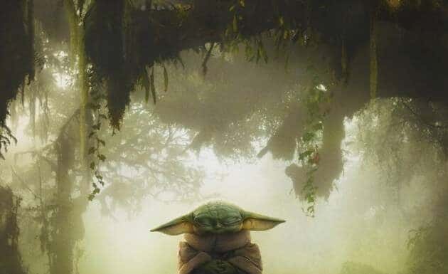 STAR WARS The Mandalorian and Grogu