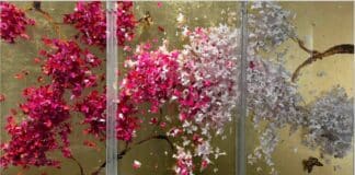 Lis Sam : Photographie, Composition florale, Matière et Illusion optique ! SAKURA by Lis Sam