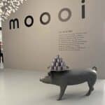 11_mooi-5791