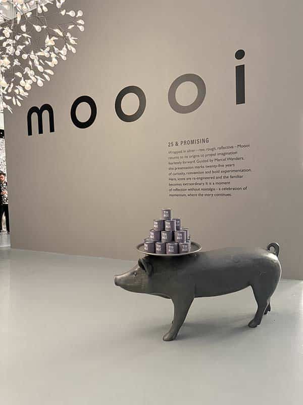 11_mooi-5791