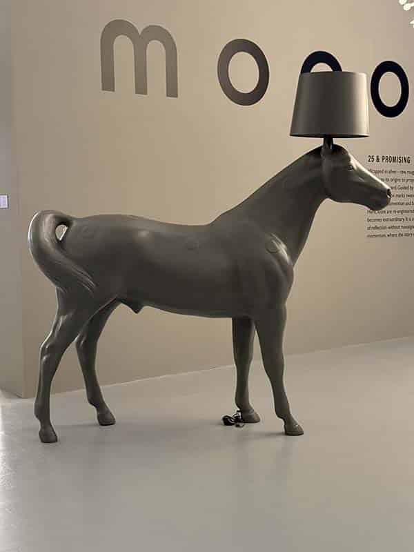 11_mooi-5793