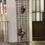 Antonio Marras-6384