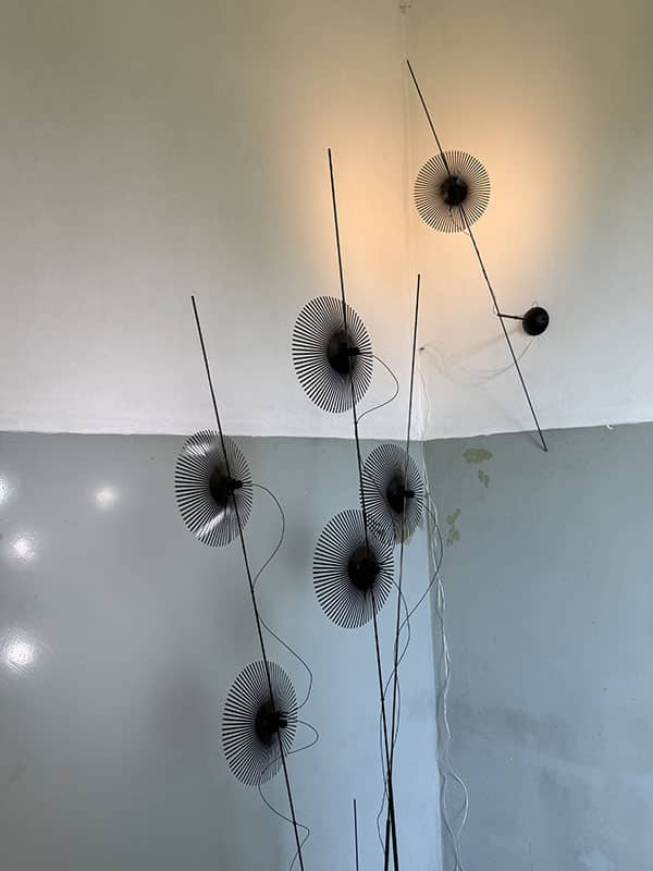 Chen Furong-5751