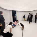 Dooor_5359