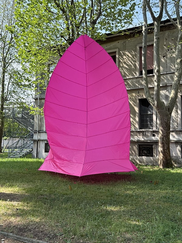 Johannes Offerhaus_ZeltStudio-5441