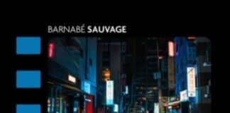 Barnabé Sauvage : Le cinéma sud-coréen, d’une histoire nationale aux succès mondiaux Le nouveau cinéma sud-coréen