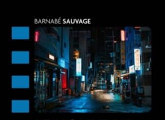 Barnabé Sauvage : Le cinéma sud-coréen, d’une histoire nationale aux succès mondiaux Le nouveau cinéma sud-coréen