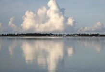 Véronique Caye