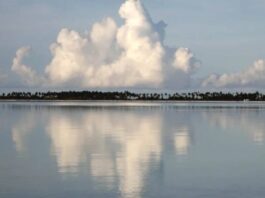 Véronique Caye