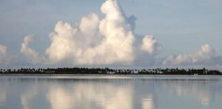 Véronique Caye