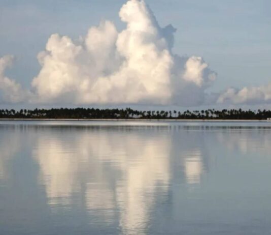 Véronique Caye